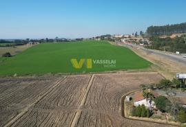 DJI_0165.JPG