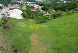 DJI_0163.JPG