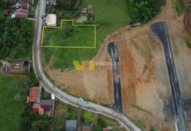 DJI_0135.JPG