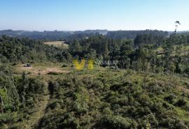 DJI_0581.JPG