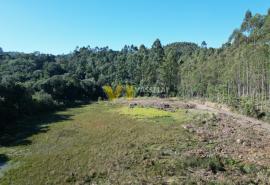 DJI_0481.JPG