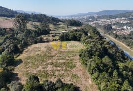 DJI_20250715141823_0018_D.JPG