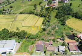 DJI_0819.JPG